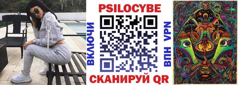 как найти   Долгопрудный  Псилоцибиновые грибы Cubensis 